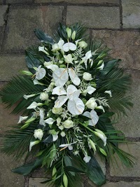 Marquis of Fulwood Floral Design 1073153 Image 6